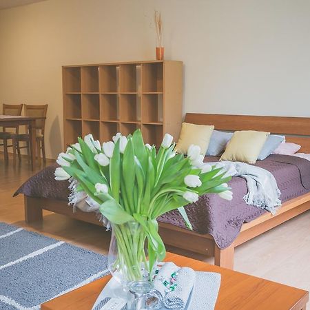 Apartamenty Przy Zamku Όλστυν Εξωτερικό φωτογραφία
