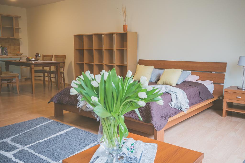 Apartamenty Przy Zamku Όλστυν Εξωτερικό φωτογραφία